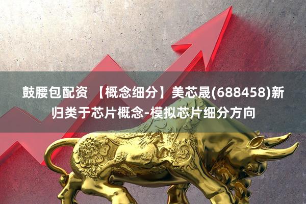 鼓腰包配资 【概念细分】美芯晟(688458)新归类于芯片概念-模拟芯片细分方向
