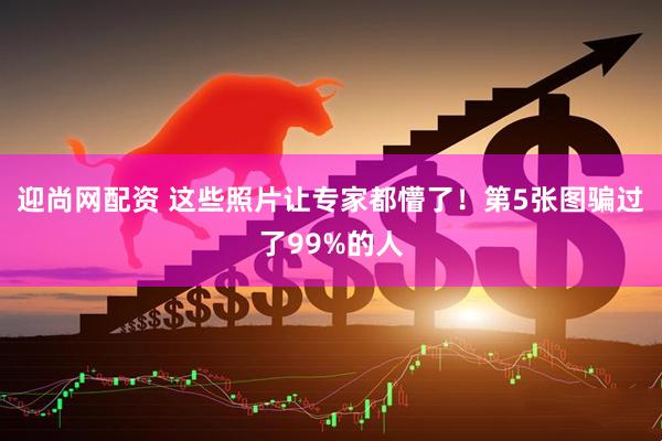 迎尚网配资 这些照片让专家都懵了！第5张图骗过了99%的人