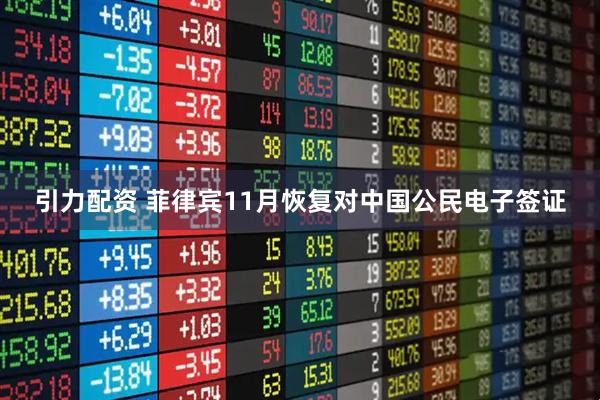 引力配资 菲律宾11月恢复对中国公民电子签证