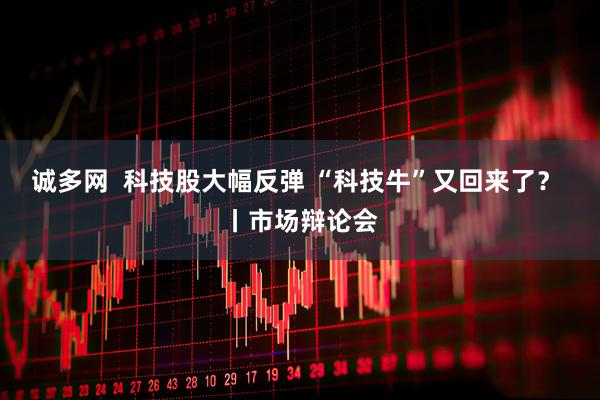 诚多网 科技股大幅反弹 “科技牛”又回来了? 丨市场辩论会